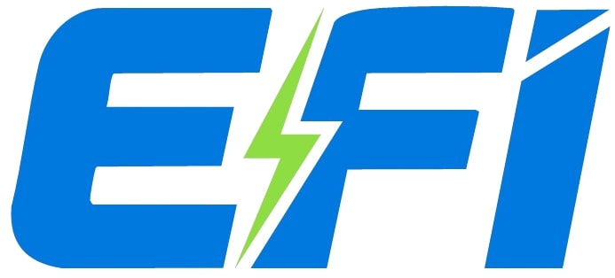 Electric Future India Logo